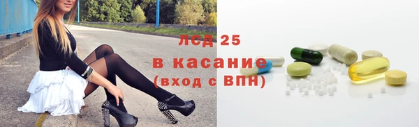 гашик Аркадак