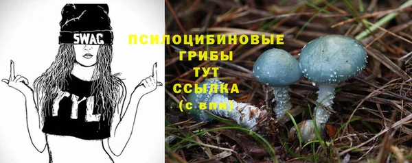 гашик Аркадак