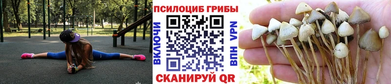 Галлюциногенные грибы прущие грибы  Ревда 